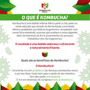 Kombucha Kit Com 12un Sabores De 300ml