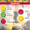 Kombucha Kit Com 12un Sabores De 300ml