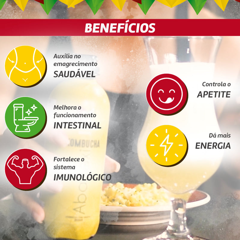 Kombucha Kit Com 12un Sabores De 300ml