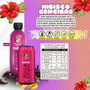 Kombucha Kit Com 12un Sabores De 300ml